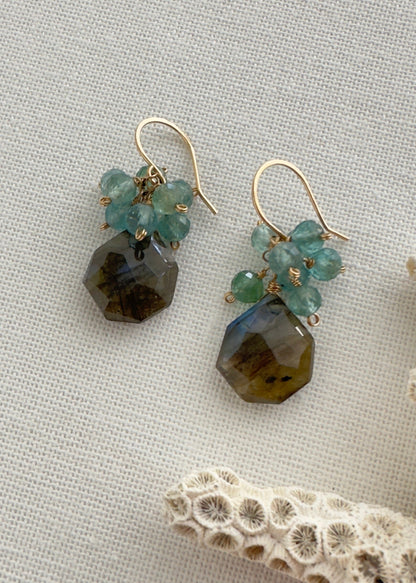 Dazzling Morning Earrings