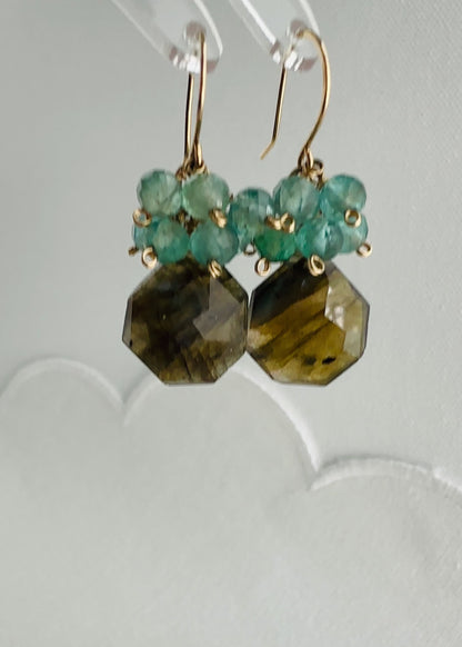 Dazzling Morning Earrings